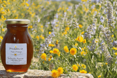 Thumbnail for Découvrez le Miel de Provence : Un Trésor en Pot Rempli de Soleil et de Fleurs